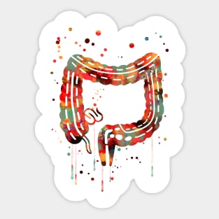 Lower gastrointestinal tract Sticker